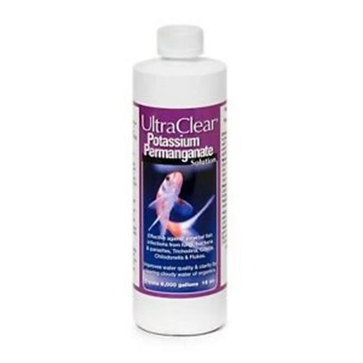 Potassium Permanganate 16 oz J669