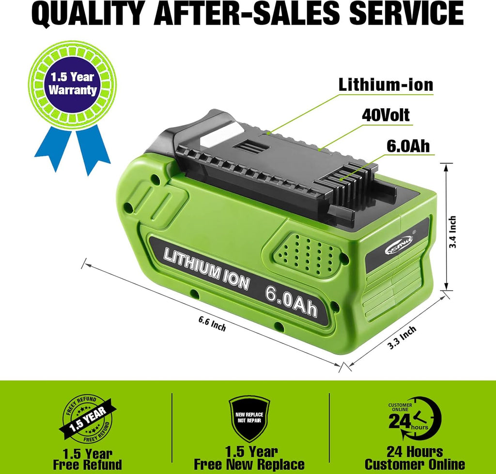 40V 6.0Ah Lithium Battery Pack of 2 T9969