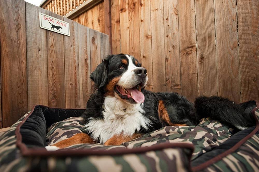 Camouflage Lounge Dog Bed - Green - Large H841