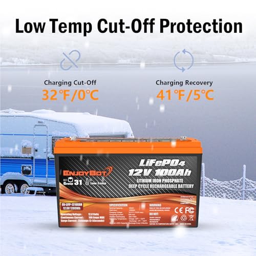 12V 100Ah LiFePO4 Lithium Battery with 100A BMS, Low Temp Cut Off Deep Cycle Battery S481868