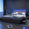 Queen Size LED Platform Bed Frame with 2 USB Ports and 4 Storage Drawers Q847616