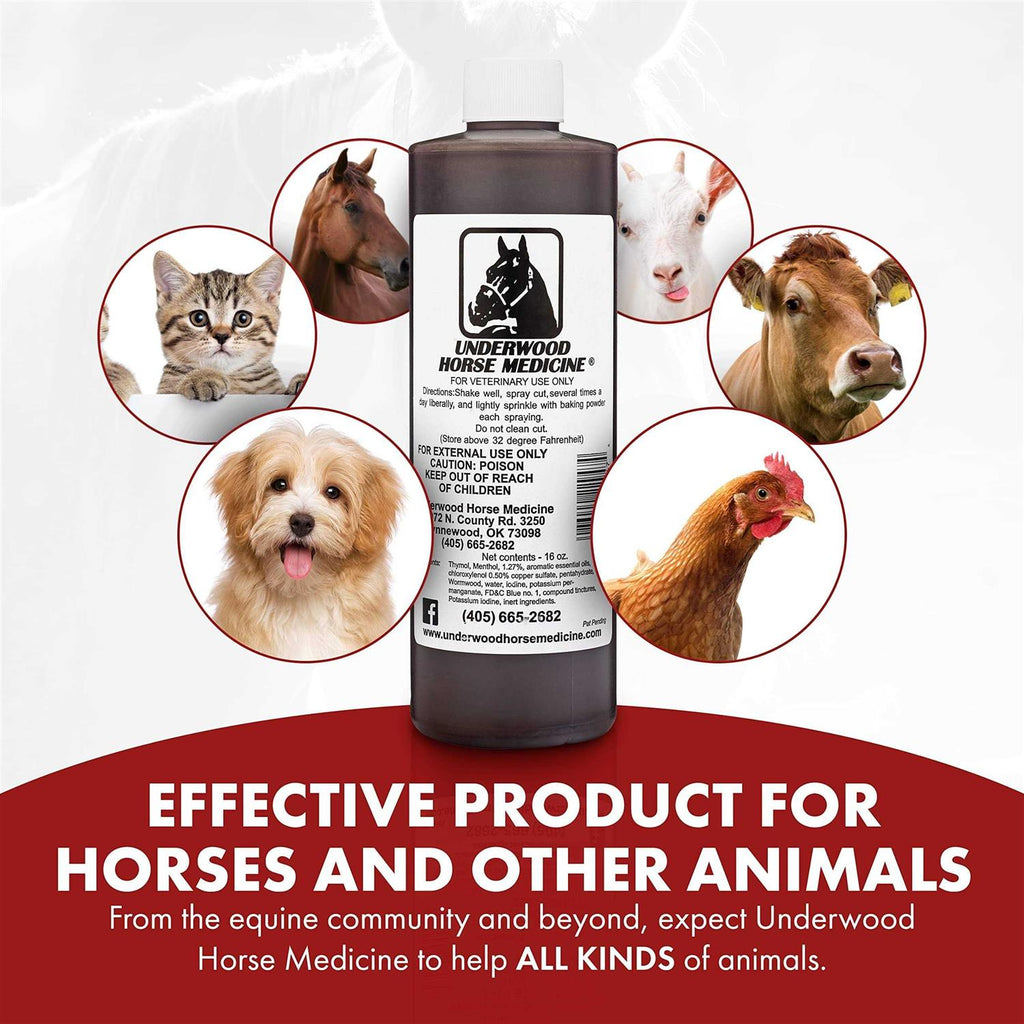 Horse Medicine Topical 16oz W801
