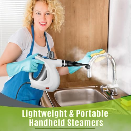Pressurized Handheld Multi-Surface Natural Steam Cleaner with 12 pcs Accessories W243
