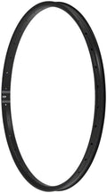 Black 29" Disc Rim B7385