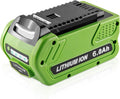 40V 6.0Ah Lithium Battery Pack of 2 T9969