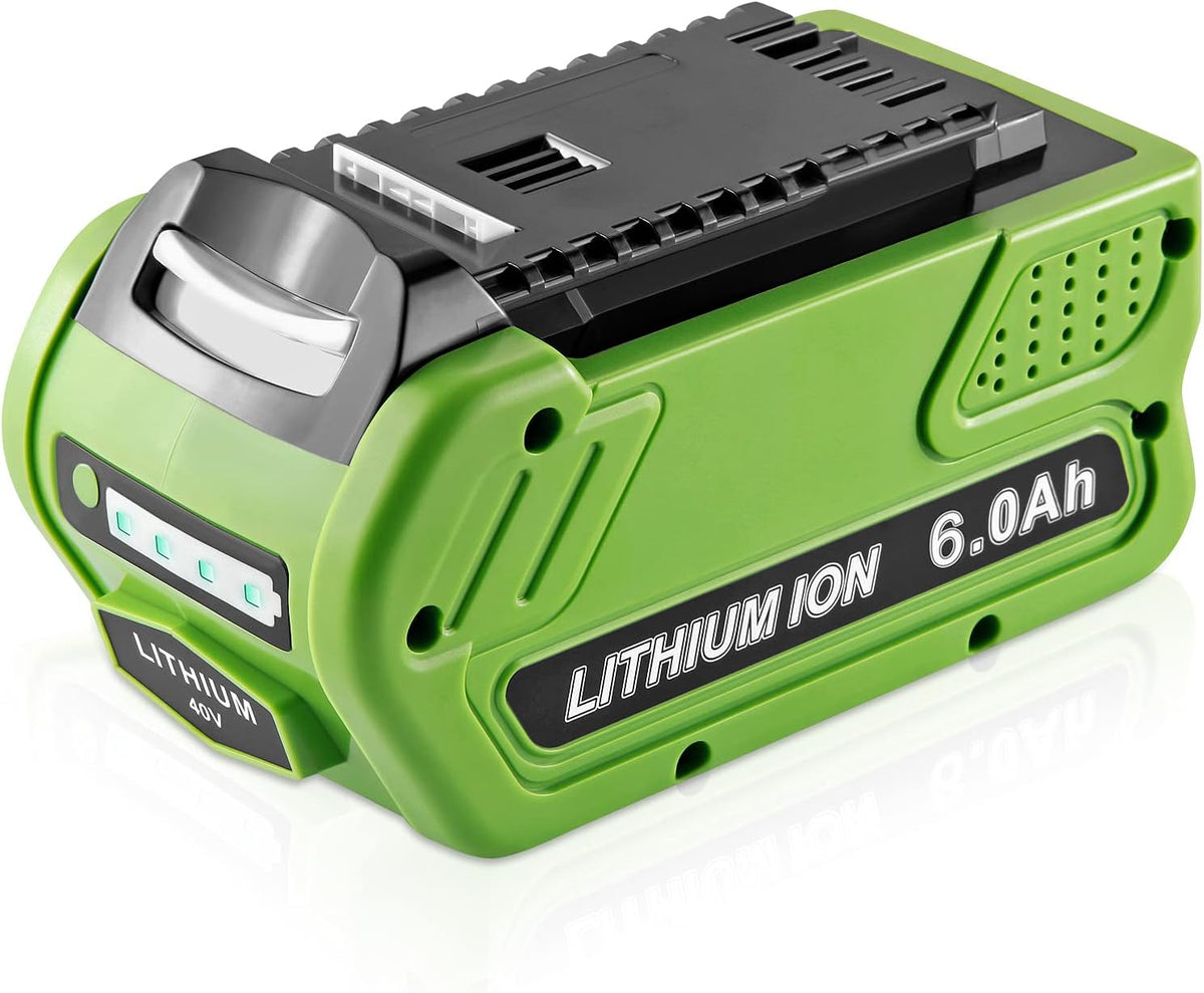 40V 6.0Ah Lithium Battery Pack of 2 T9969