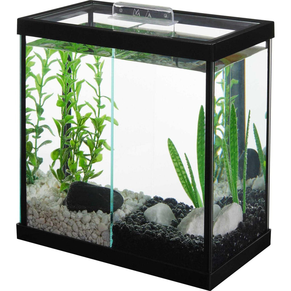 Betta Aquarium with Divider P896618
