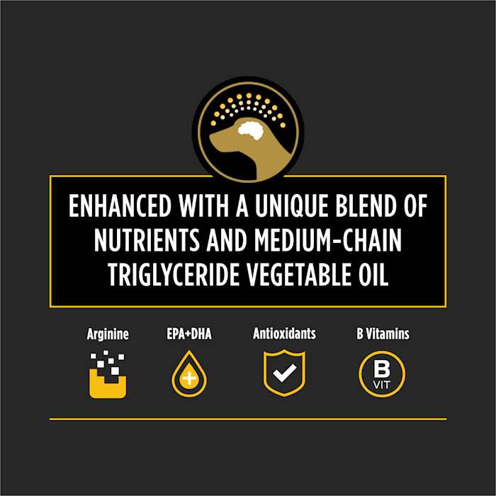 Dry Dog Food R609