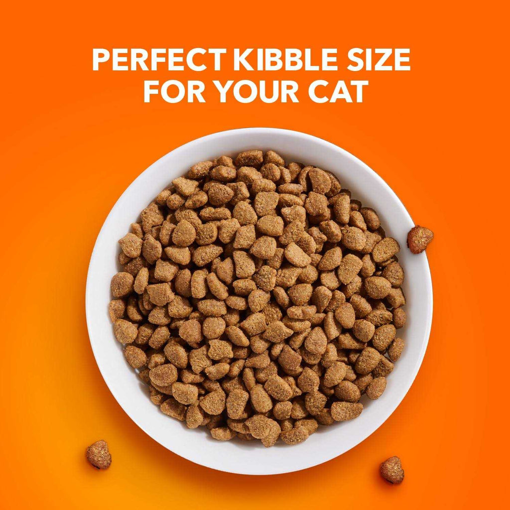 Adult Cat Food Z211