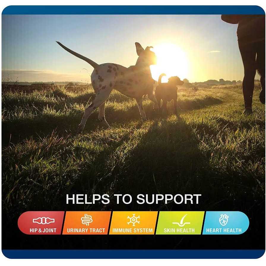 Soft Chews for Dogs E181