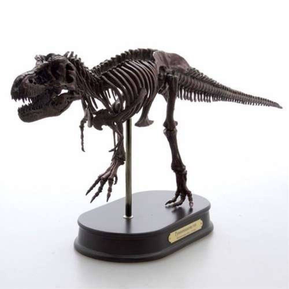 Tyrannosaurus Rex Dinosaur Figure Fossil Skeleton 1/20 Scale H5305