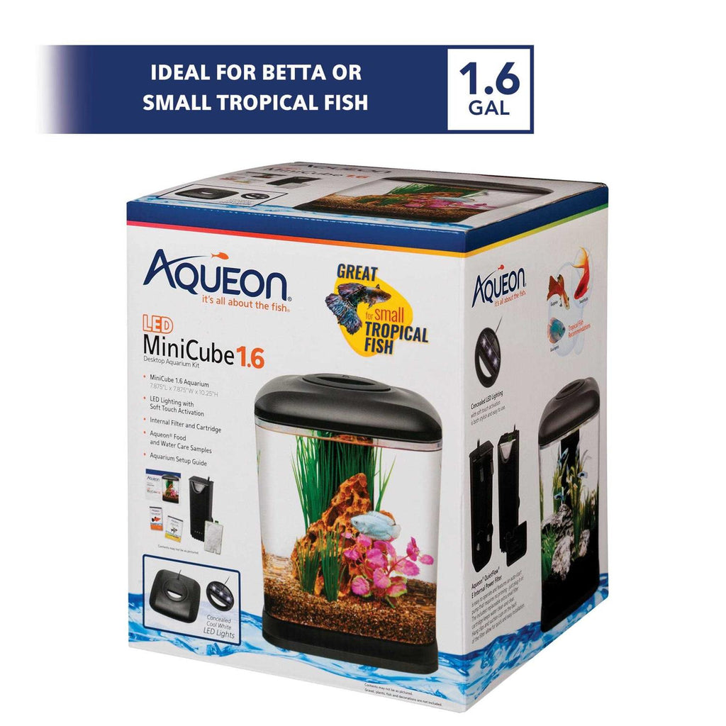 LED Mini Cube Aquarium Kit H5164