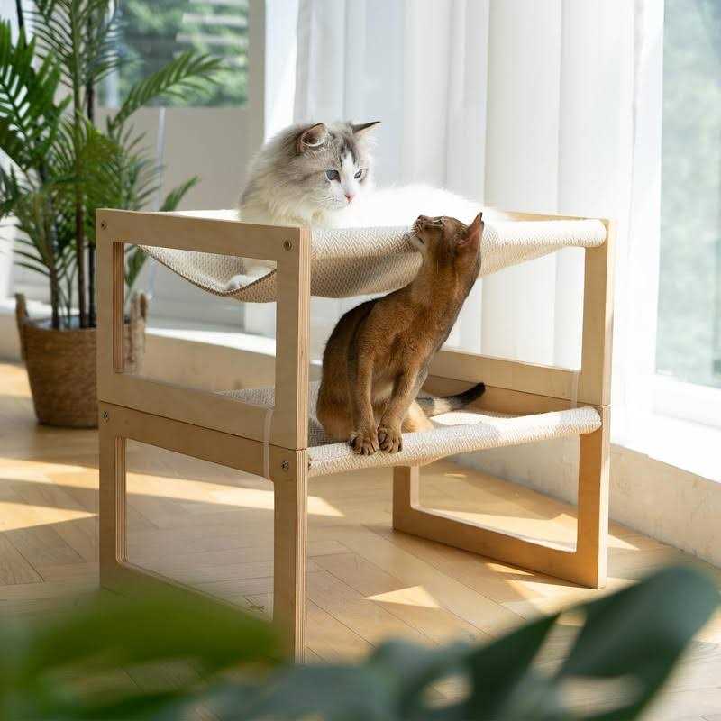 Large Breathable Wooden Cat Bed D203