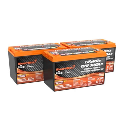 12V 100Ah LiFePO4 Lithium Battery with 100A BMS, Low Temp Cut Off Deep Cycle Battery S481868