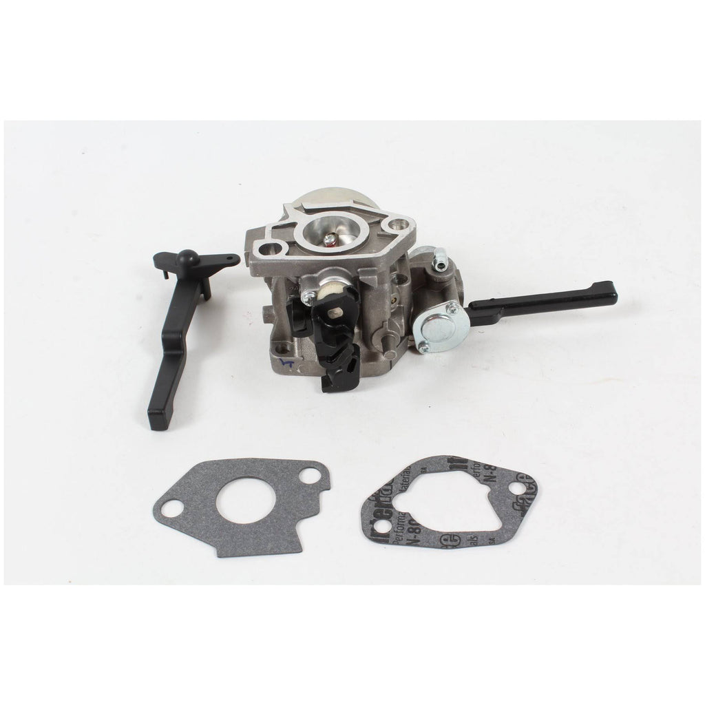 Carburetor Kit U51182
