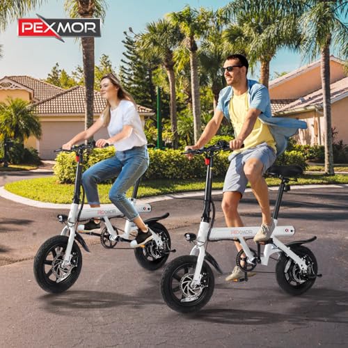 14" Folding Electric Bike 350W Motor 36V 6AH Battery Z292