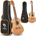Mahogany 23 inch Concert Ukulele and Electric Acoustic Tenor Ukulele Bundle M33206