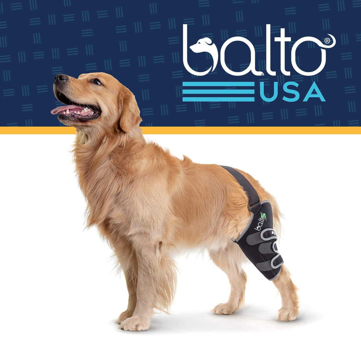 Knee Support for Dogs Z6242