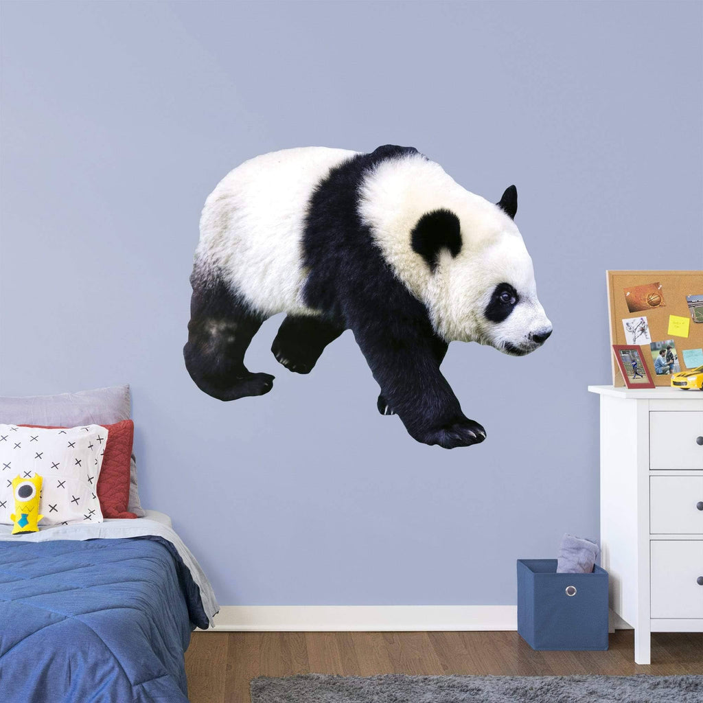 Huge Removable Wall Decal B56451