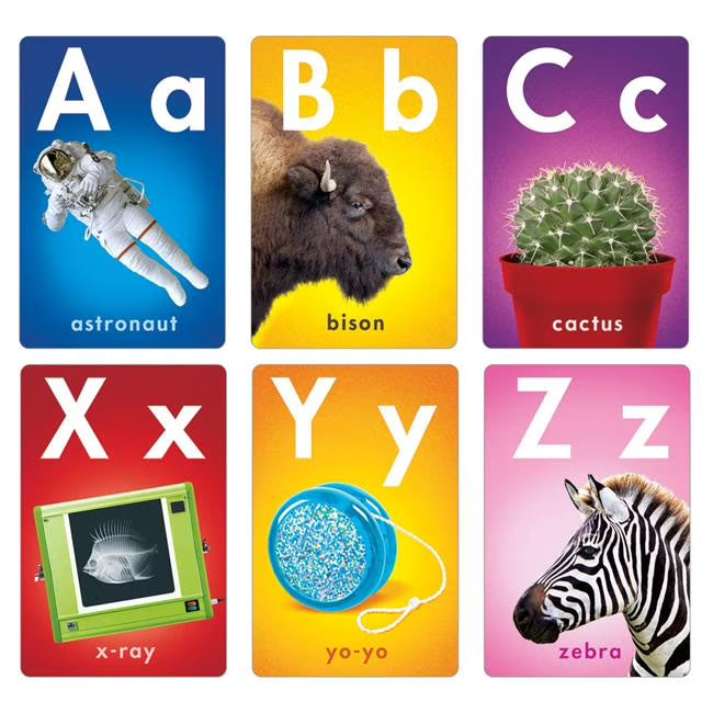 Photo Fun Learning Set D709