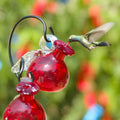 Red Hanging Glass Hummingbird Feeder I999428