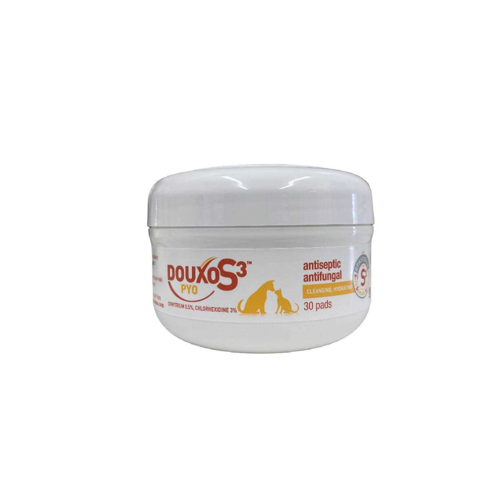 Shampoo I435746