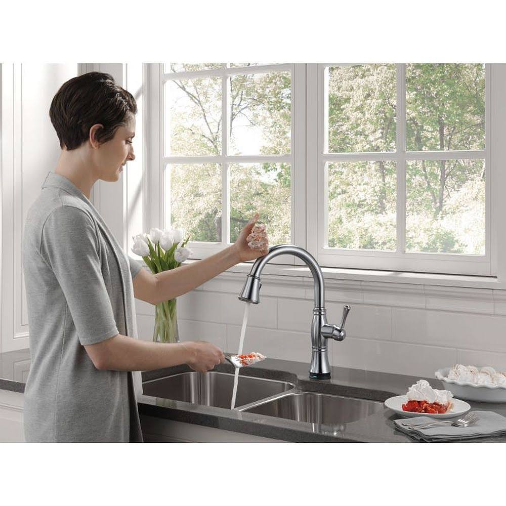 Arctic Stainless Pull-Out Spray Kitchen Faucet C531042