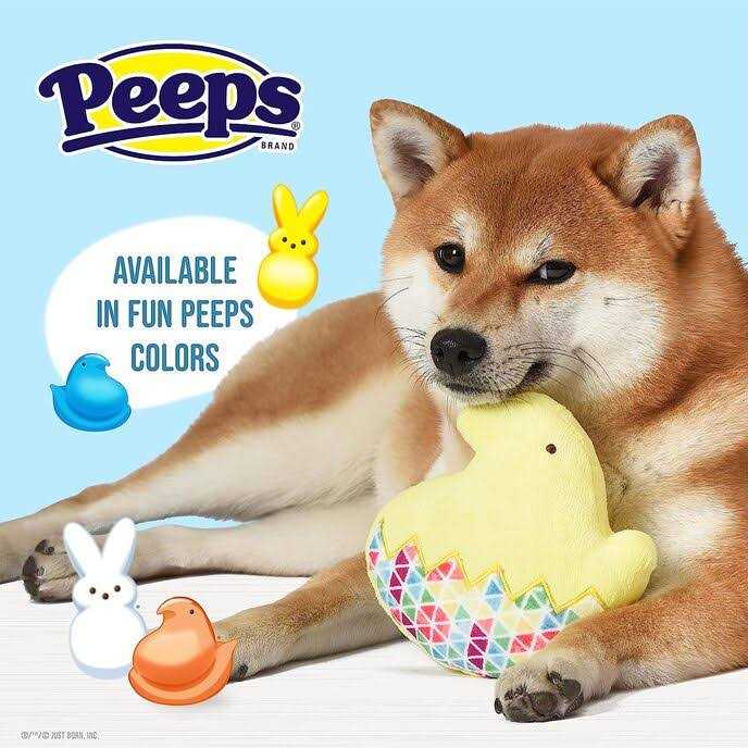 Chick Plush Dog Toy F82594