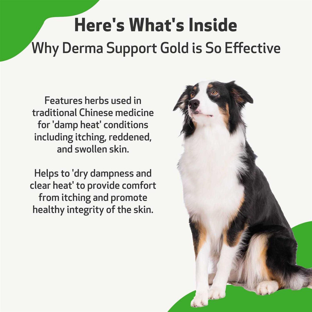 Natural Support for Healthy Coat in Dogs Q682526