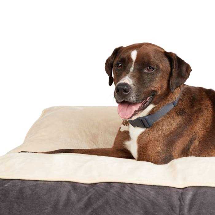 Snooze Fest Lounger Dog Bed I245369
