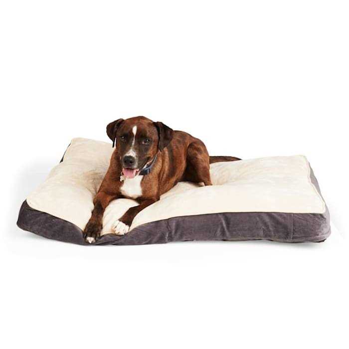 Snooze Fest Lounger Dog Bed I245369