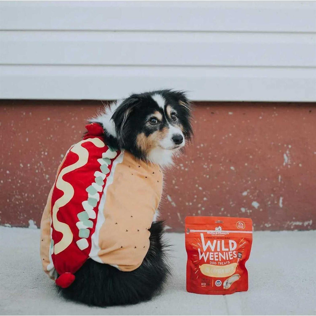 Freeze Dried Dog Treats L244