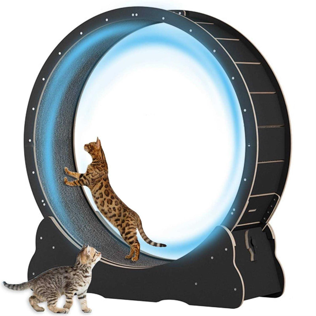 40 inch Solid Wood Cat Exercise Wheel C307562