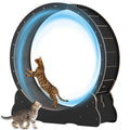 40 inch Solid Wood Cat Exercise Wheel C307562