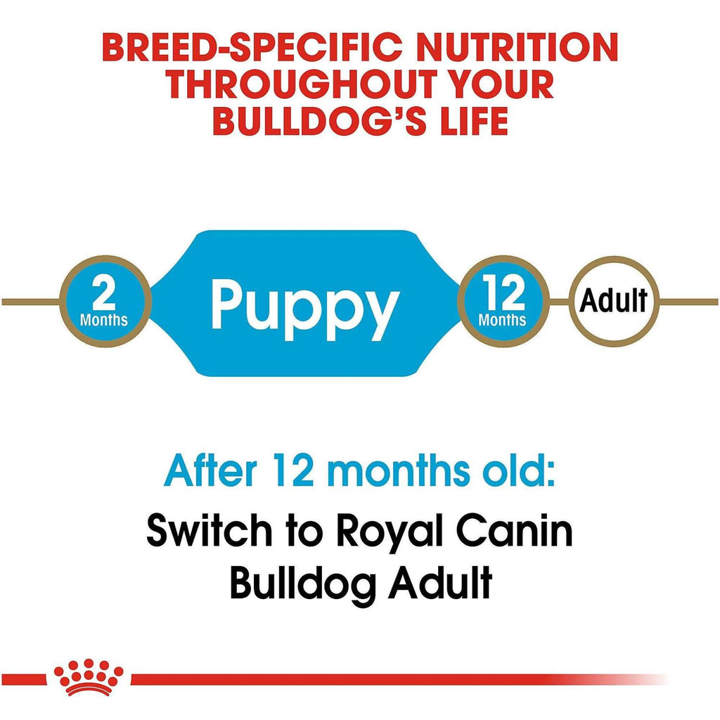 Bulldog Puppy Dry Dog Food T9805