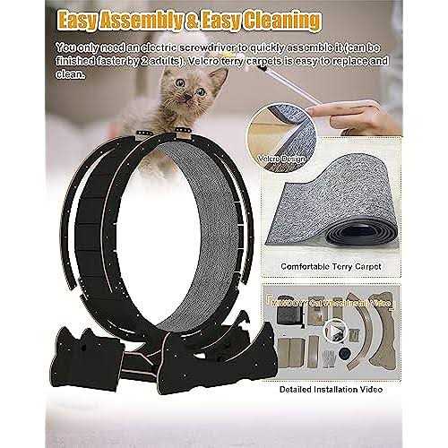 40 inch Solid Wood Cat Exercise Wheel C307562
