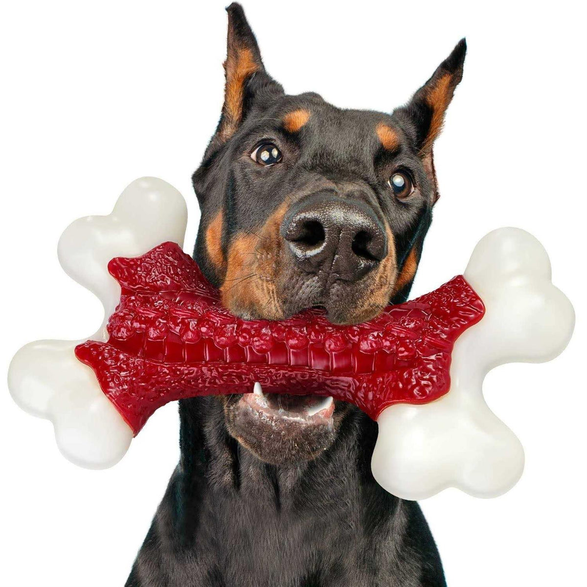 Tough Dog Toys for Aggressive Chewers Large Breed P6490