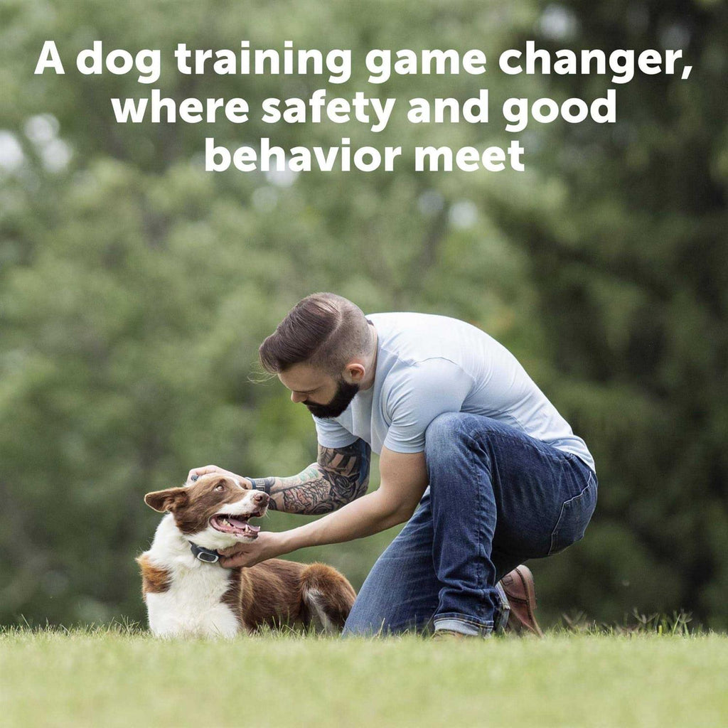 Dog Remote Trainer M33054