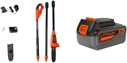 20V Max Cordless 8-Inch Pole Saw Y5743