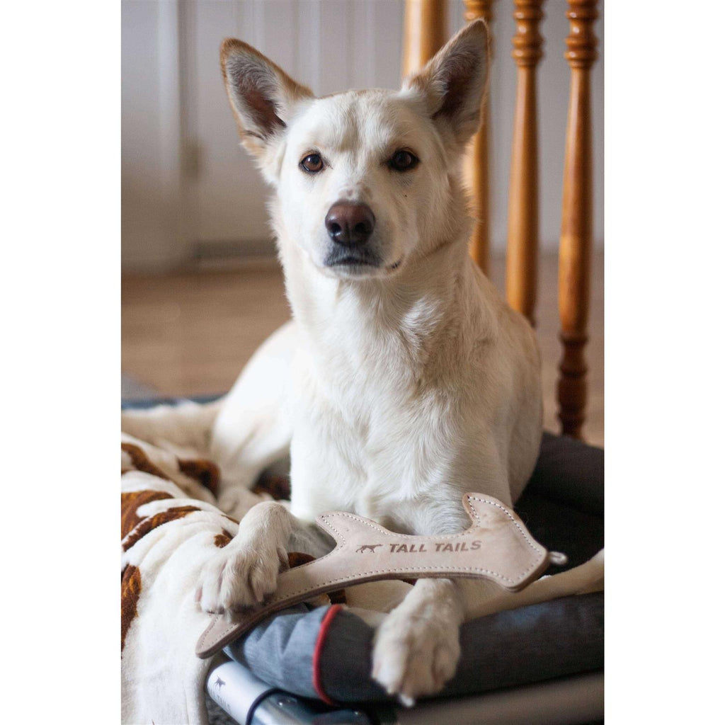 Natural Leather Antler Dog Toy I52251