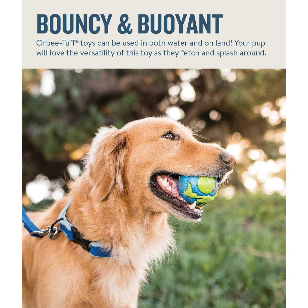 Blue Dog Ball D944384