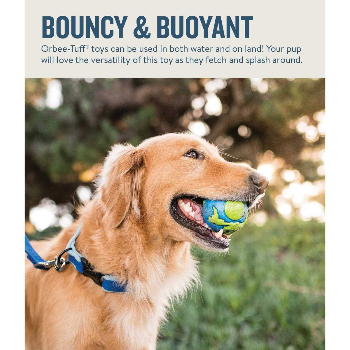Blue Dog Ball D944384