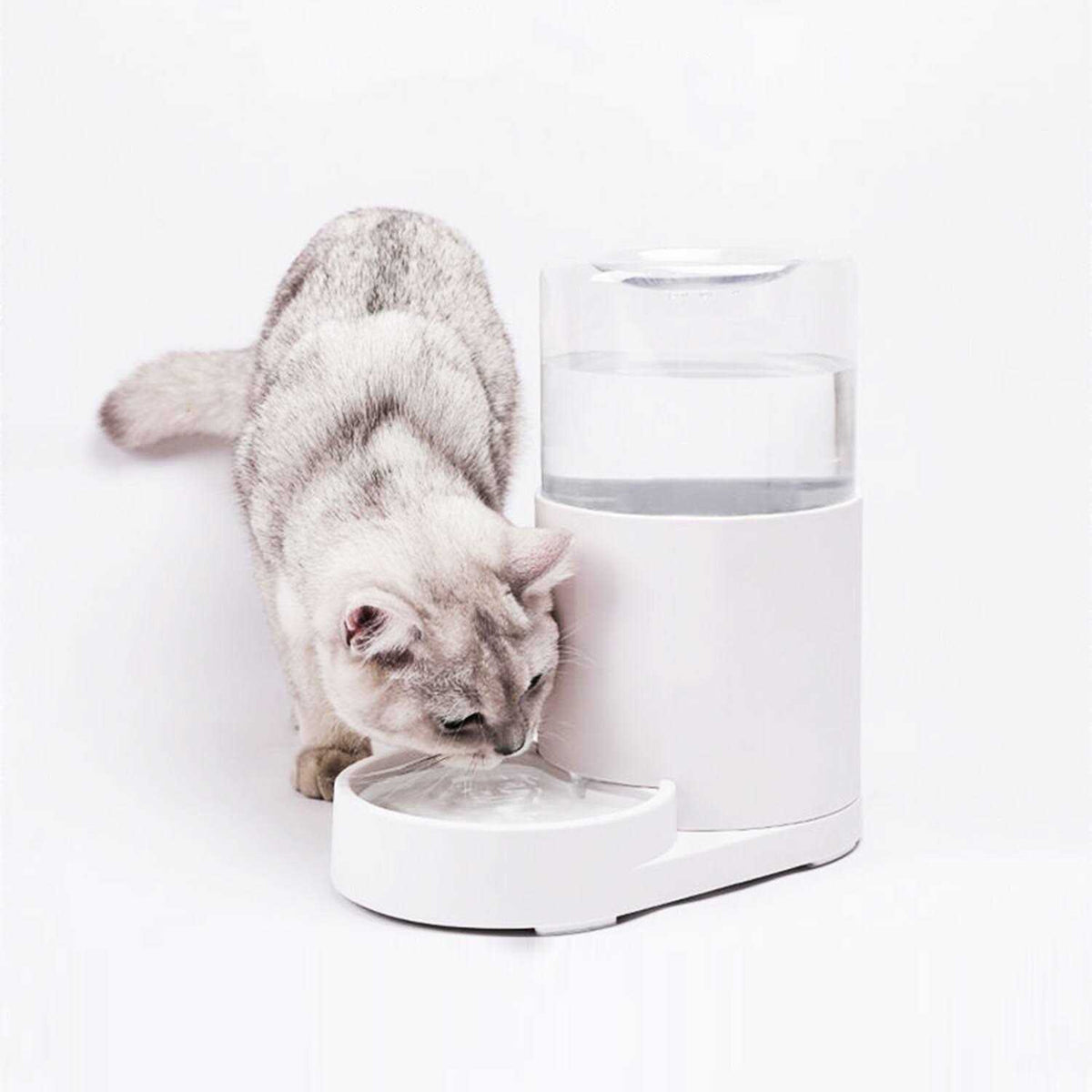 Automatic Pet Water Dispenser 3 Liter S4603