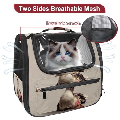Pet Travel Carrier Soft Sided Portable Bag H634088