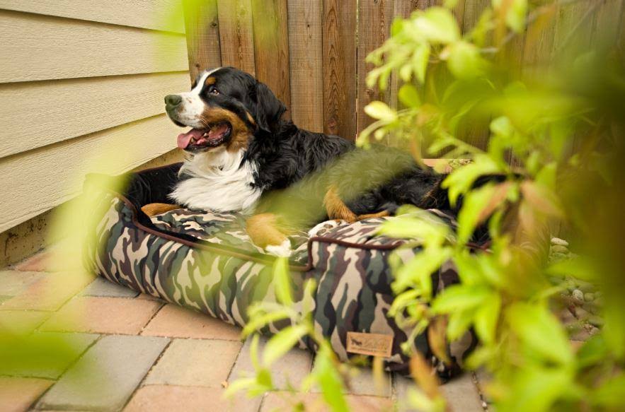 Camouflage Lounge Dog Bed - Green - Large H841