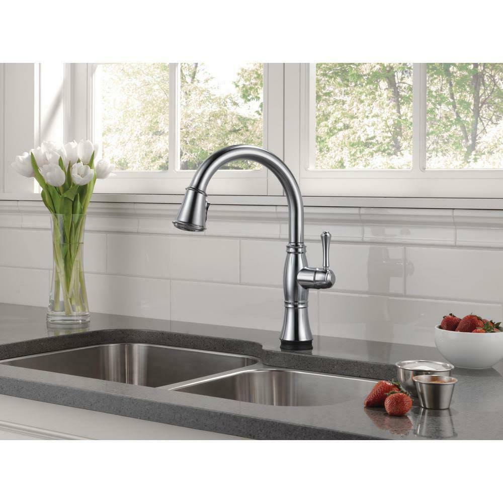 Arctic Stainless Pull-Out Spray Kitchen Faucet C531042