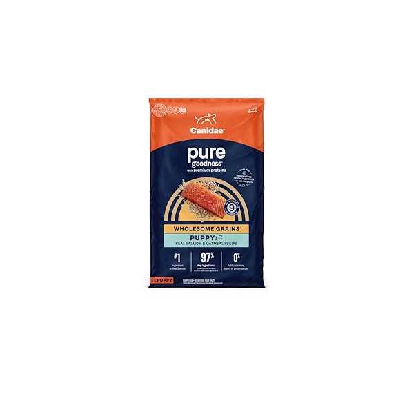 Grain Free Salmon & Sweet Potato Dry Dog Food Q989